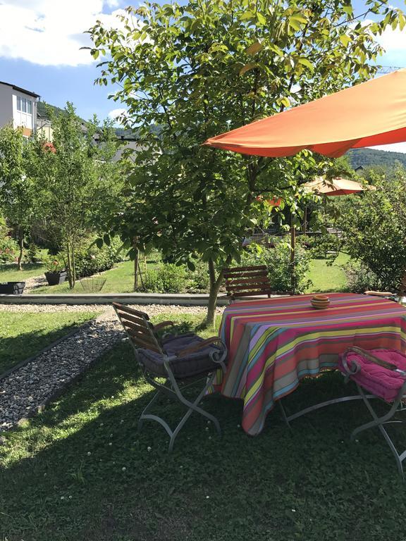 Perlina Karpat Apartment Bernkastel-Kues
