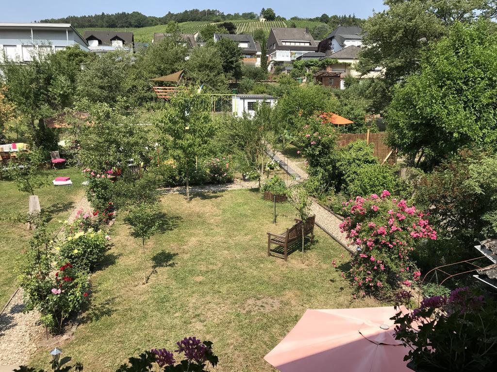 Apartment Perlina Karpat *