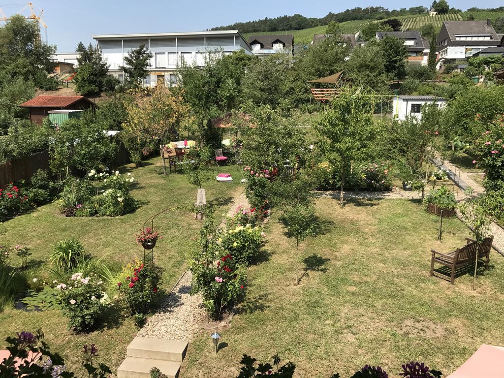 Appartement Perlina Karpat *
